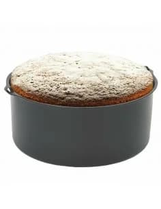 Plaque/panier pour friteuse à air Rosberg Premium RP51980AB8, 20 cm, charbonеродна