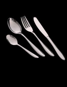 24pcs Ménagère (jeu de couverts) GS-101117S1, Mirror polish, Box, inox